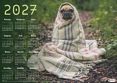 ��������� 2027 �2_48